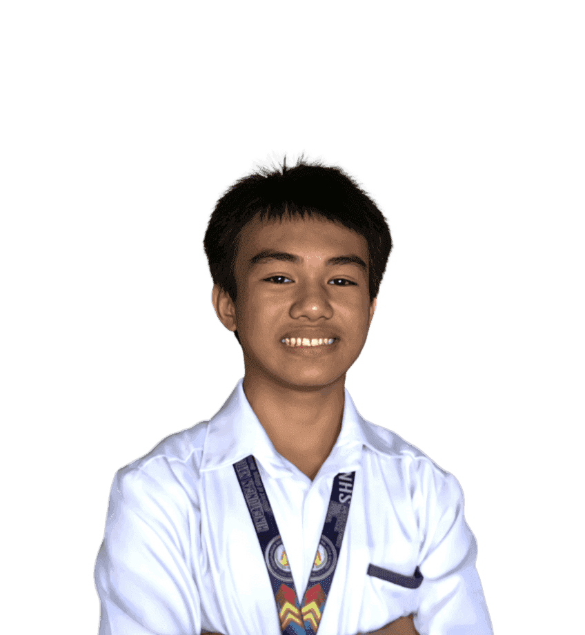 John Rish Ladica - Professional Profile